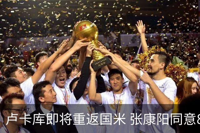 卢卡库即将重返国米 张康阳同意800万镑租借方案